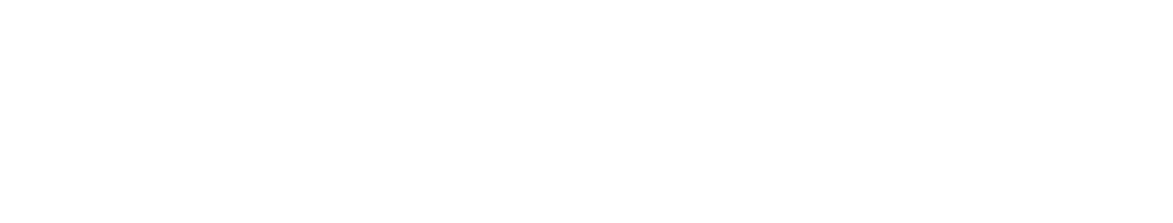 Premier Bet Logo